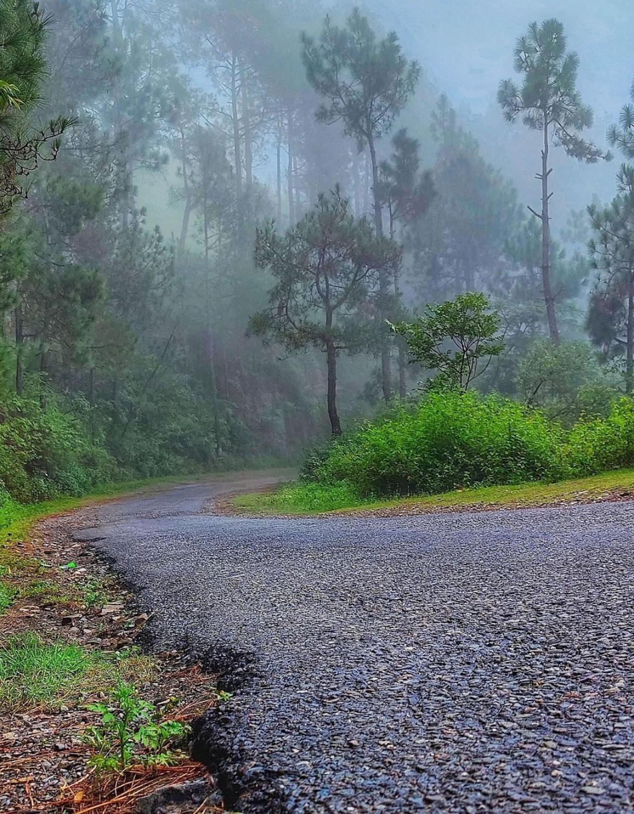 Kabana De Nature Rājgarh 外观 照片